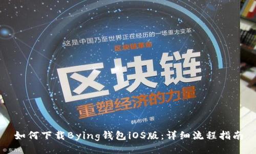 如何下载Bying钱包iOS版:详细流程指南