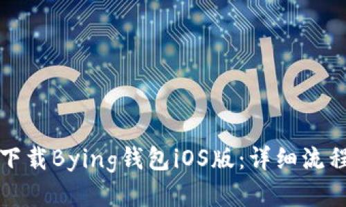 如何下载Bying钱包iOS版:详细流程指南