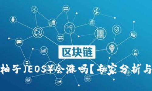 数字货币柚子(EOS)会涨吗?专家分析与市场走势