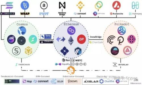 tp钱包最新版下载官网 - 安全高效的数字货币钱包解读