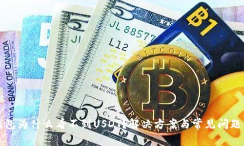 TP钱包为什么看不到USDT?解决方案与常见问题分析