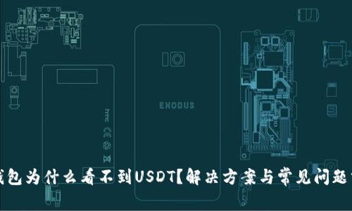 TP钱包为什么看不到USDT?解决方案与常见问题分析