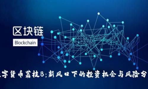 数字货币荔枝B:新风口下的投资机会与风险分析