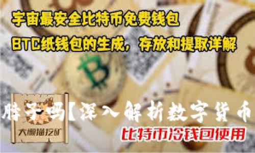 数字货币会卡脖子吗?深入解析数字货币的未来与风险