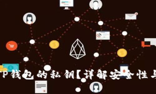 : 什么是TP钱包的私钥?详解安全性与使用技巧