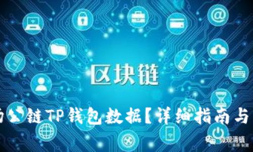 如何查看波场公链TP钱包数据?详细指南与常见问题解析