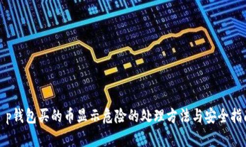 t p钱包买的币显示危险的处理方法与安全指南