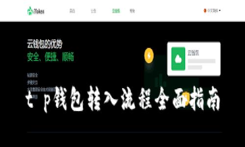 t p钱包转入流程全面指南