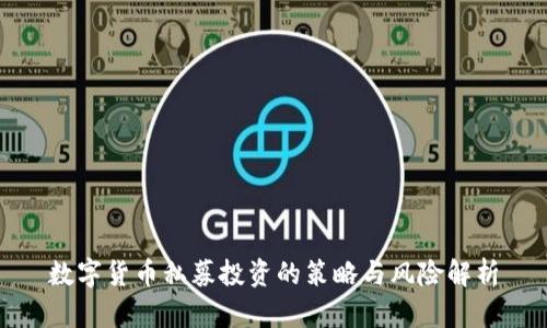 数字货币私募投资的策略与风险解析