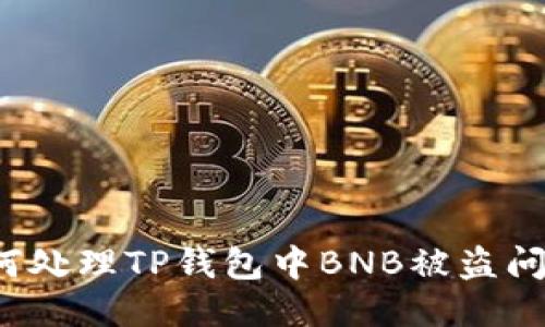 如何处理TP钱包中BNB被盗问题?
