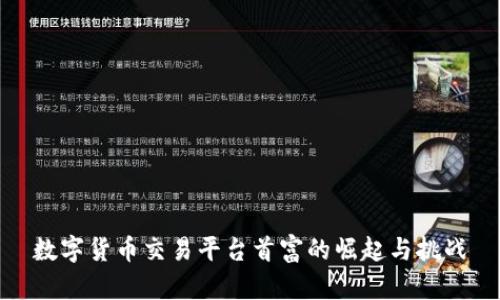 数字货币交易平台首富的崛起与挑战