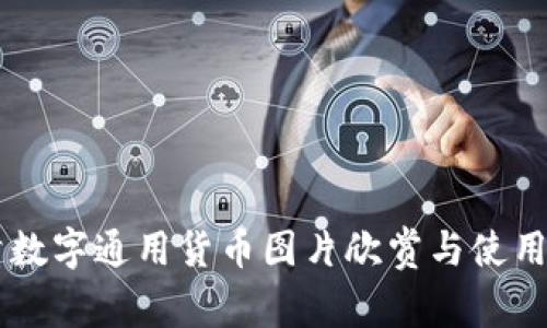 高清数字通用货币图片欣赏与使用指南