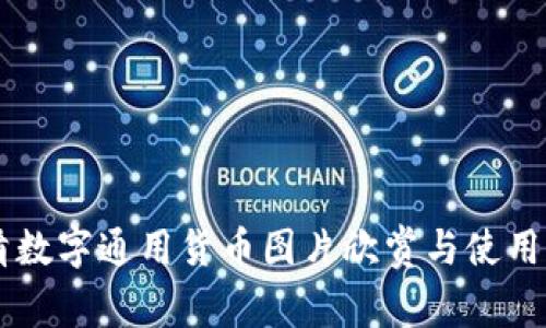 高清数字通用货币图片欣赏与使用指南