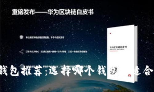 虚拟货币钱包推荐:选择哪个钱包更适合您的需求?