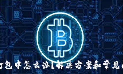 tp钱包打包中怎么办?解决方案和常见问题解析