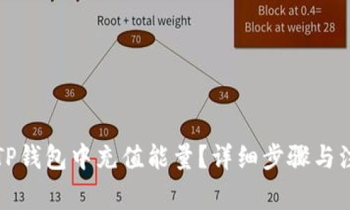 如何在TP钱包中充值能量?详细步骤与注意事项