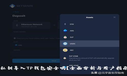私钥导入TP钱包安全吗?全面分析与用户指南
