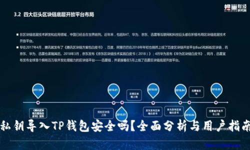 私钥导入TP钱包安全吗?全面分析与用户指南